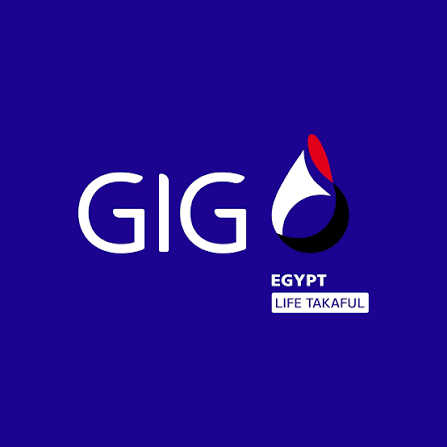 GIG Egypt تحقق 1.09 مليار جنيه صافي أرباح خلال 2025 وتقر زيادة رأس المال إلى 800 مليون جنيه