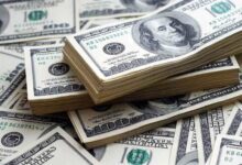 استقرار سعر الدولار أمام الجنيه في البنوك المصرية مع بداية تعاملات اليوم الأحد