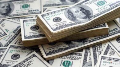 استقرار سعر الدولار أمام الجنيه في البنوك المصرية مع بداية تعاملات اليوم الأحد