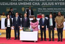 أحمد السويدي: مشروع سد جوليوس نيريري يؤكد قدرة الشركات المصرية على تنفيذ المشروعات الكبرى في إفريقيا