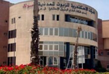 «الإسكندرية للزيوت المعدنية» تقود ارتفاعات أسهم الطاقة بالبورصة المصرية