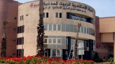 «الإسكندرية للزيوت المعدنية» تقود ارتفاعات أسهم الطاقة بالبورصة المصرية