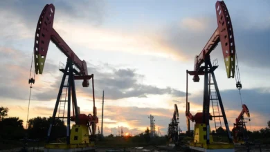 خبير اقتصادي: ارتفاع أسعار النفط يفرض ضغوطًا على الحكومة لرفع أسعار الطاقة