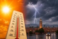 سويس ري تدق ناقوس الخطر بشأن وفيات موجات الحر وتدعو لإعادة تقييم المخاطر