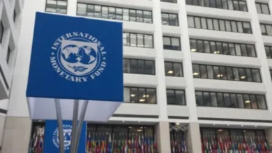 صندوق النقد: تراجع حصة أذون الخزانة المصرية لأجل أسبوع إلى 6.2% في يونيو