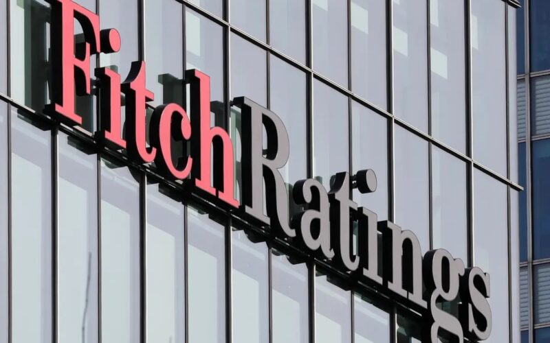«فيتش»: نمو رأس المال البديل وسوق أوراق التأمين المرتبطة بالمخاطر في 2027
