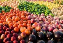 الزراعة تراهن على الأسواق الجديدة والتصنيع لتعظيم عائد الصادرات المصرية