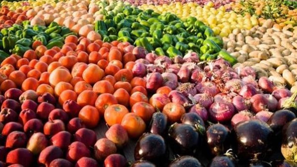 الزراعة تراهن على الأسواق الجديدة والتصنيع لتعظيم عائد الصادرات المصرية