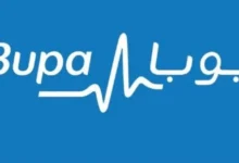 بوبا إيجيبت تتصدر سوق التأمين الطبي في مصر بأقساط تقترب من 3 مليارات جنيه