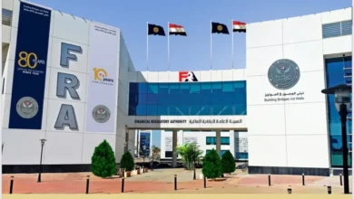 الرقابة المالية تسجل صندوقًا للعلاج لأعضاء هيئة التدريس والعاملين بجامعة الغردقة