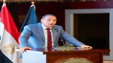 الرقابة المالية تيسر إجراءات شركات التأمين.. اعتماد موحد لنماذج الوثائق دون تكرار الموافقات